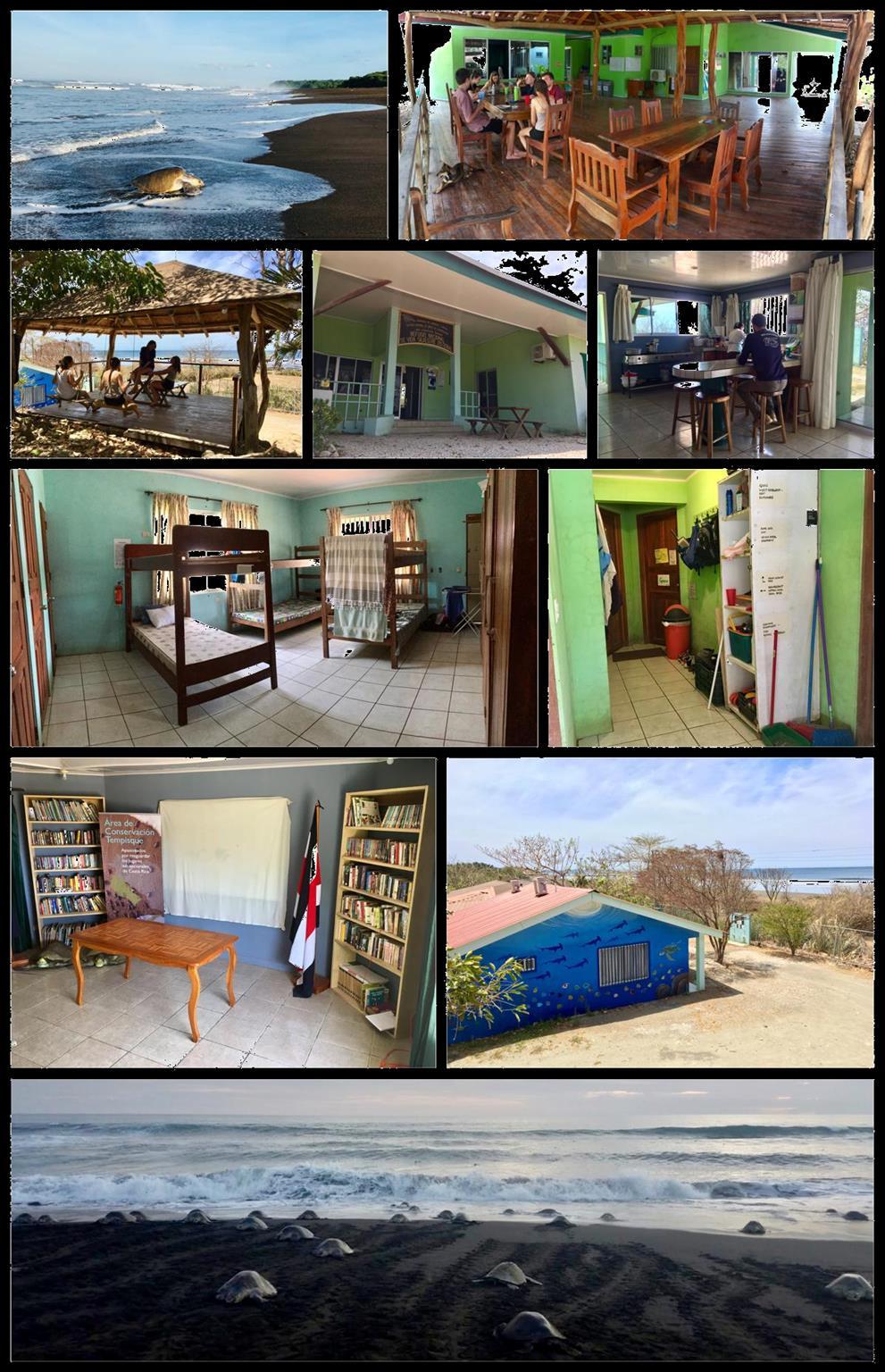 Dorms